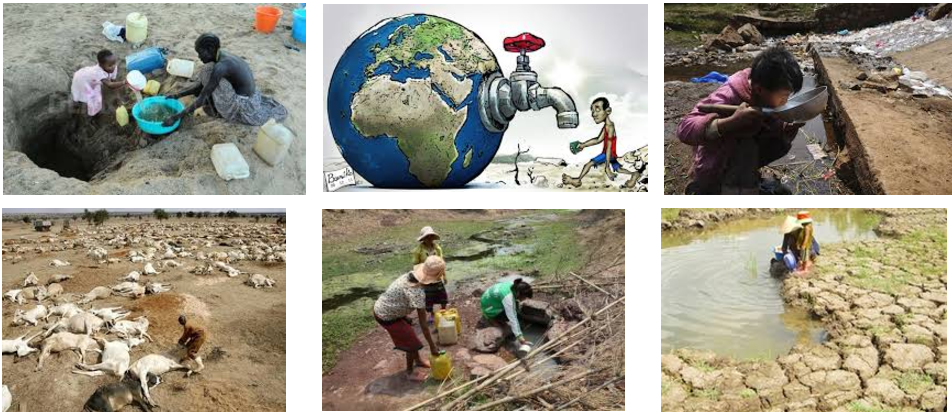 thiếu nước khiến con người phải dùng nước bẩn để sinh tồn